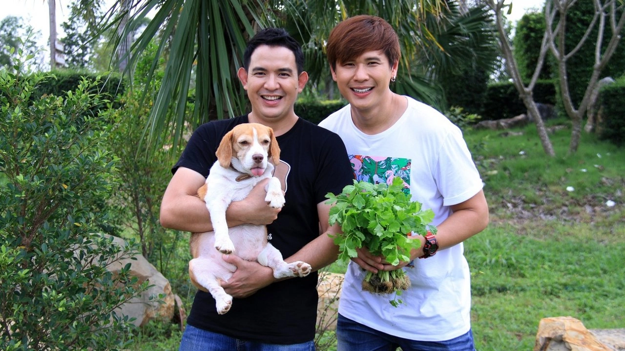 ขึ้นฉ่าย