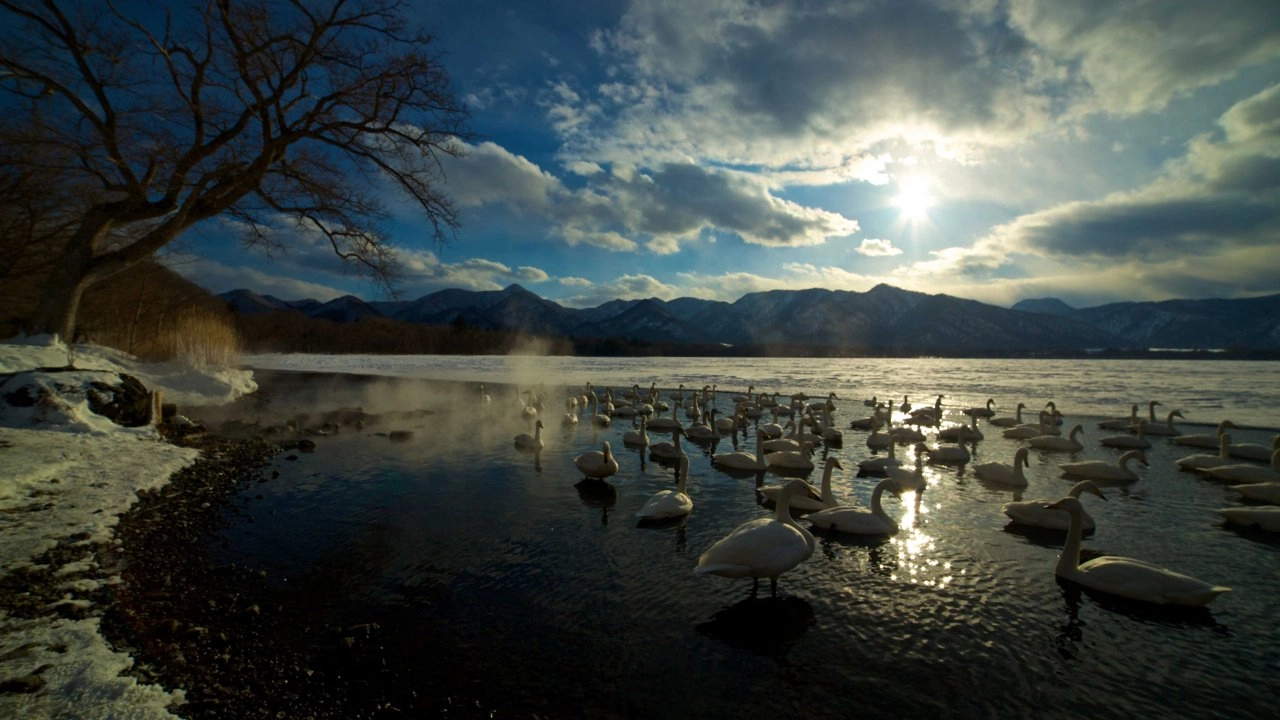 ​มหัศจรรย์ธรรมชาติญี่ปุ่น ตอน เกาะฮอกไกโด