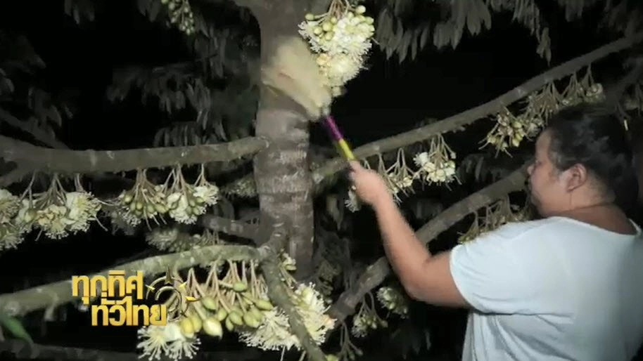 ประเด็นข่าว ( 12 ม.ค. 60)