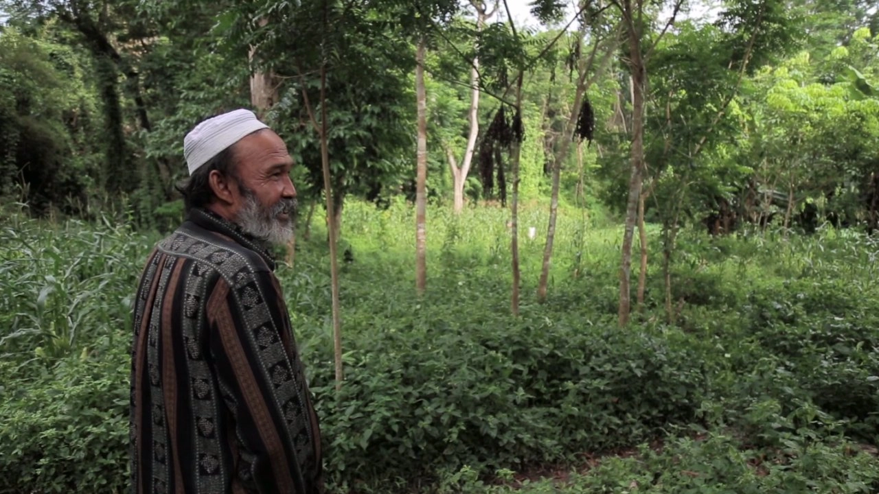 ดูซง แผ่นดินของเรา