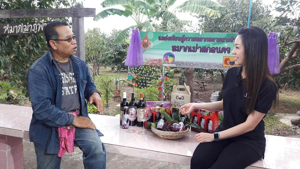 หมากเม่า ทองคำสีดำแห่งเทือกเขาภูพาน, คลินิกเลิกบุหรี่ รพ.น่าน