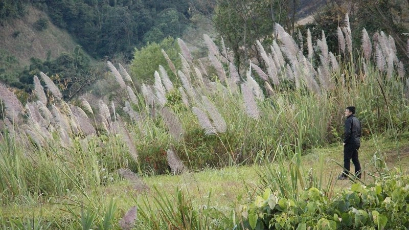รอยยิ้มจากยอดดอย สถานีพัฒนาเกษตรที่สูงตามพระราชดำริ บ้านสะจุก-สะเกี้ยง จ.น่าน
