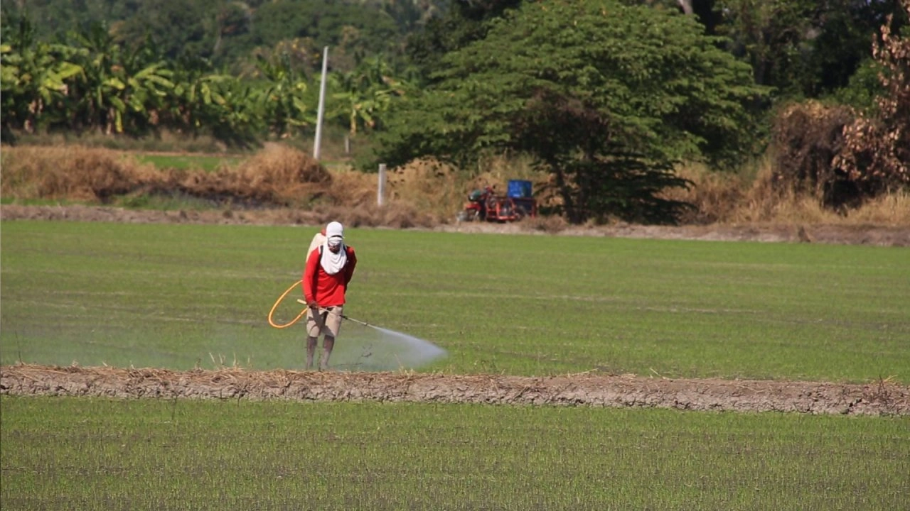 ชาวนาไทยสบายดี ?