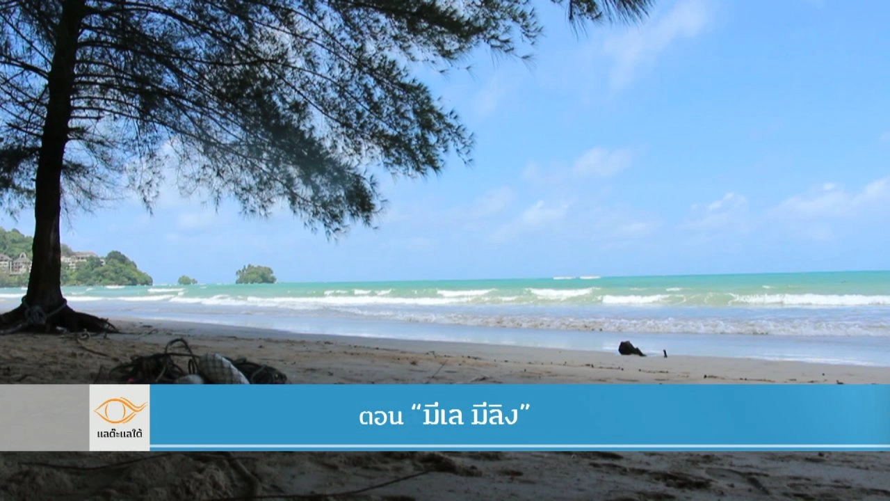 มีเล มีลิง, สะใภ้อินเตอร์, ข้าวโพดนาปรัง