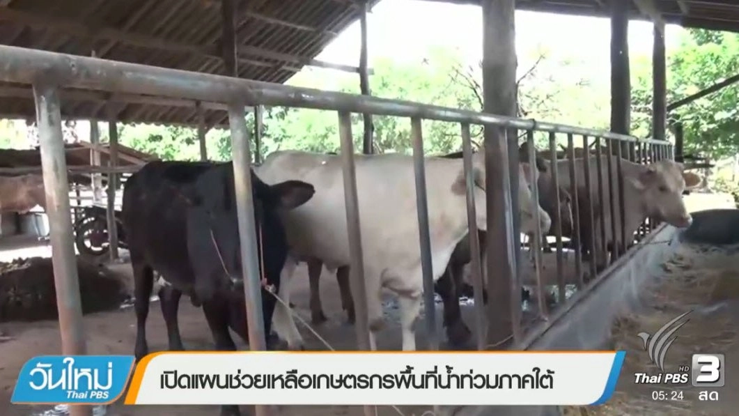 ประเด็นข่าว (20 ม.ค. 60)