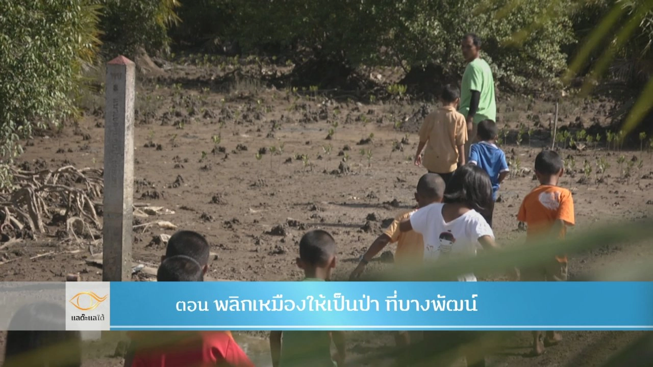 พลิกเหมืองให้เป็นป่า ที่บางพัฒน์