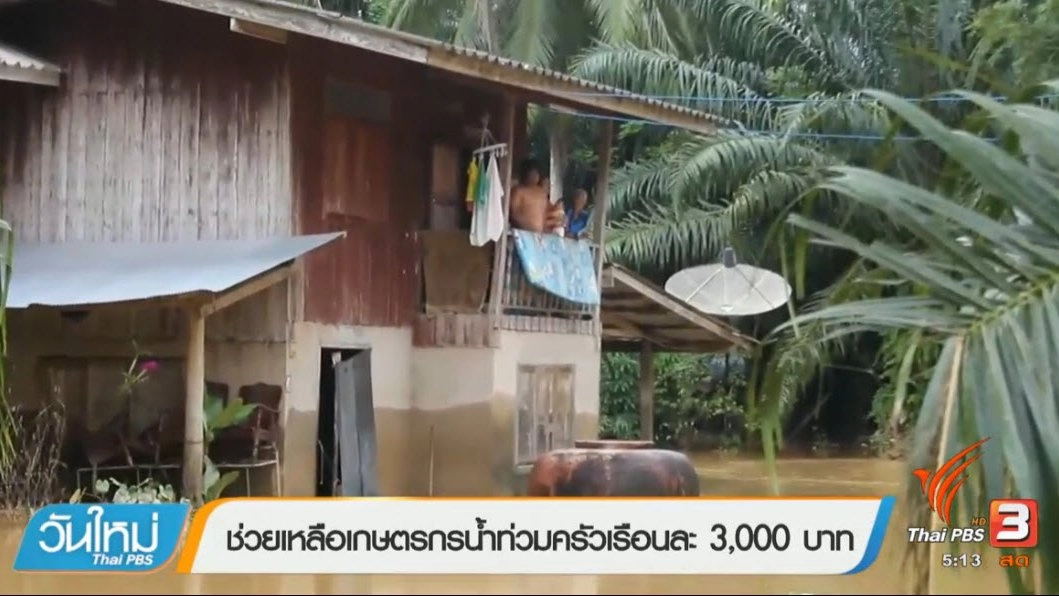 ประเด็นข่าว (25 ม.ค. 60)