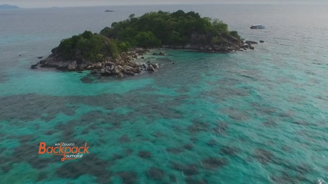 ผู้ล่า : ภัยคุกคาม