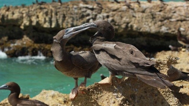 ผจญภัยขุมทรัพย์แห่งธรรมชาติ ตอน ดินแดนแห่งสวรรค์