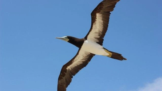 ผจญภัยขุมทรัพย์แห่งธรรมชาติ ตอน เกาะสุดปลายขอบโลก