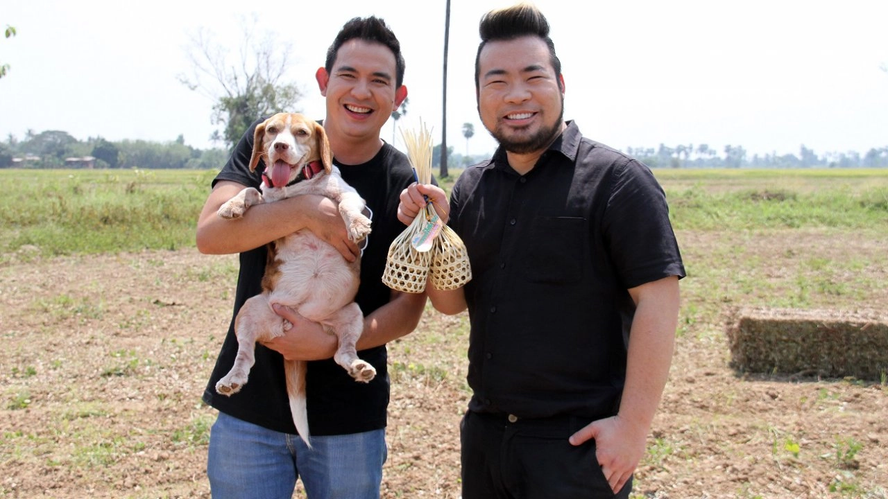 ถั่วลิสง