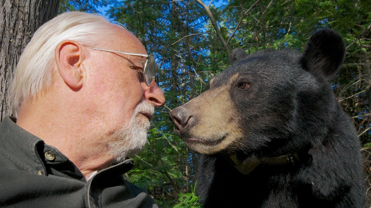 ตามติดชีวิตเจ้าหมีลิลลี่