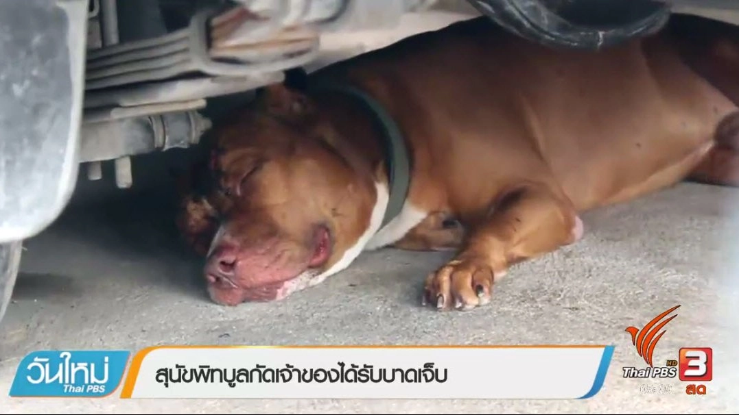 ประเด็นข่าว (8 พ.ค. 60)