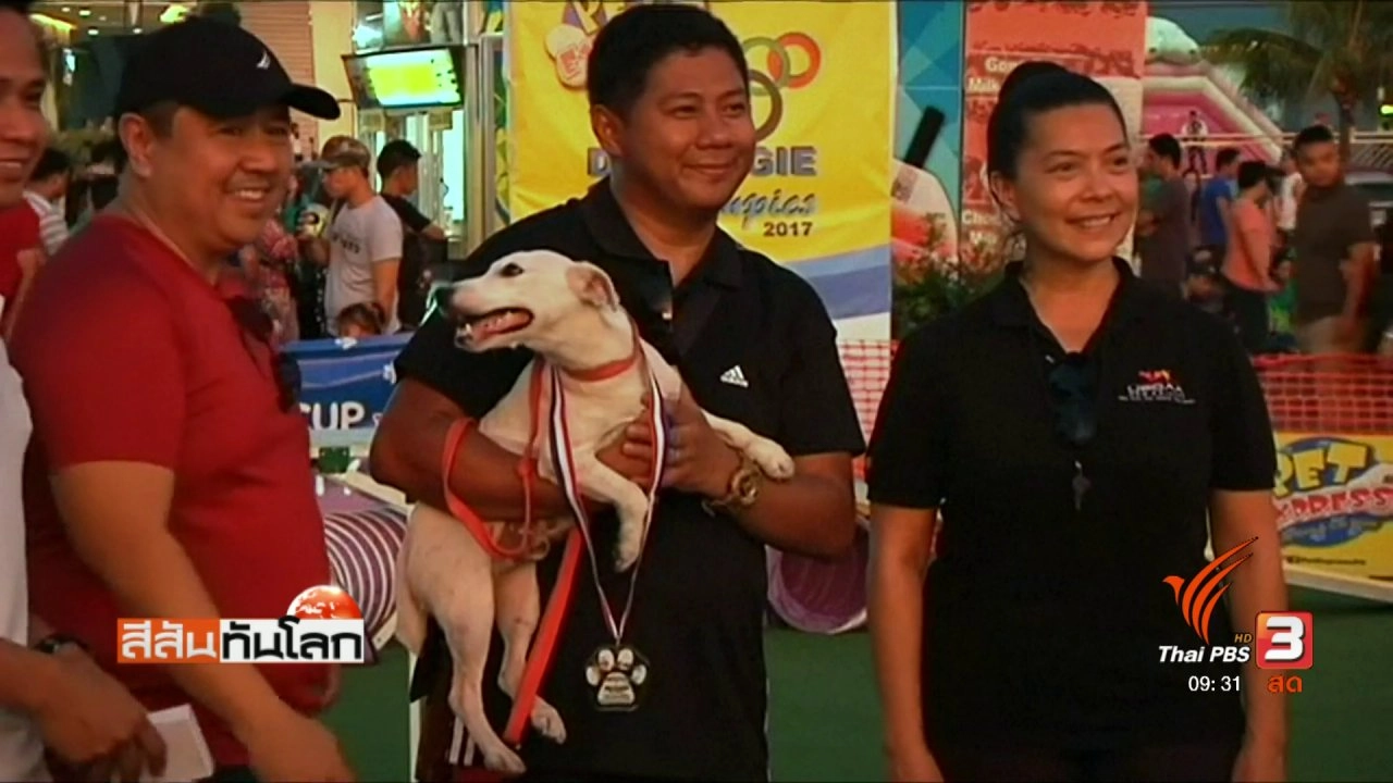 ประเด็นข่าว (13 พ.ค. 60)