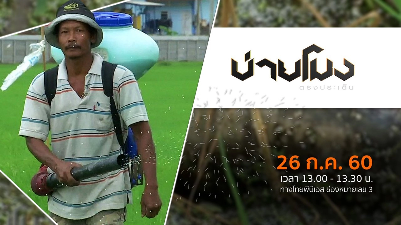 ประเด็นข่าว ( 26 ก.ค. 60)