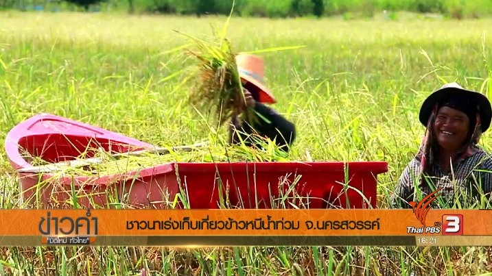 ประเด็นข่าว (25 ก.ค. 60)