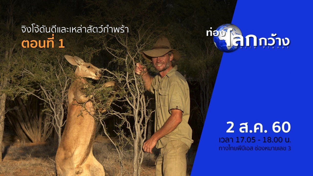 จิงโจ้ดันดีและเหล่าสัตว์กำพร้า ตอนที่ 1