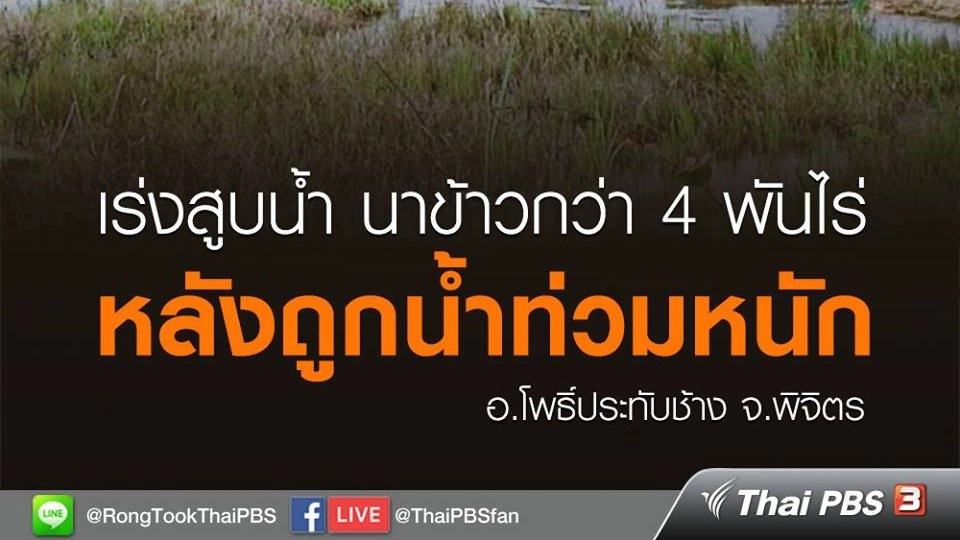 เร่งสูบน้ำนาข้าวกว่า 4 พันไร่ หลังถูกน้ำท่วมหนัก อ.โพธิ์ประทับช้าง จ.พิจิตร