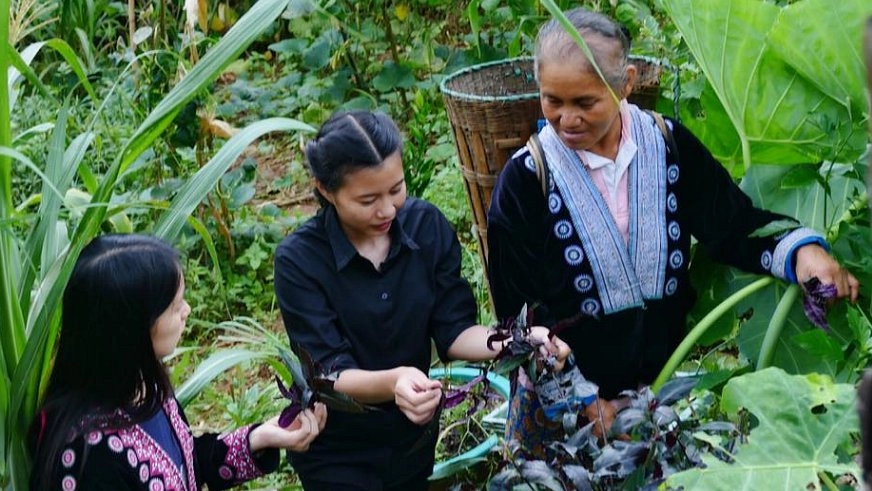 ประเด็นข่าว (7 ส.ค. 60)