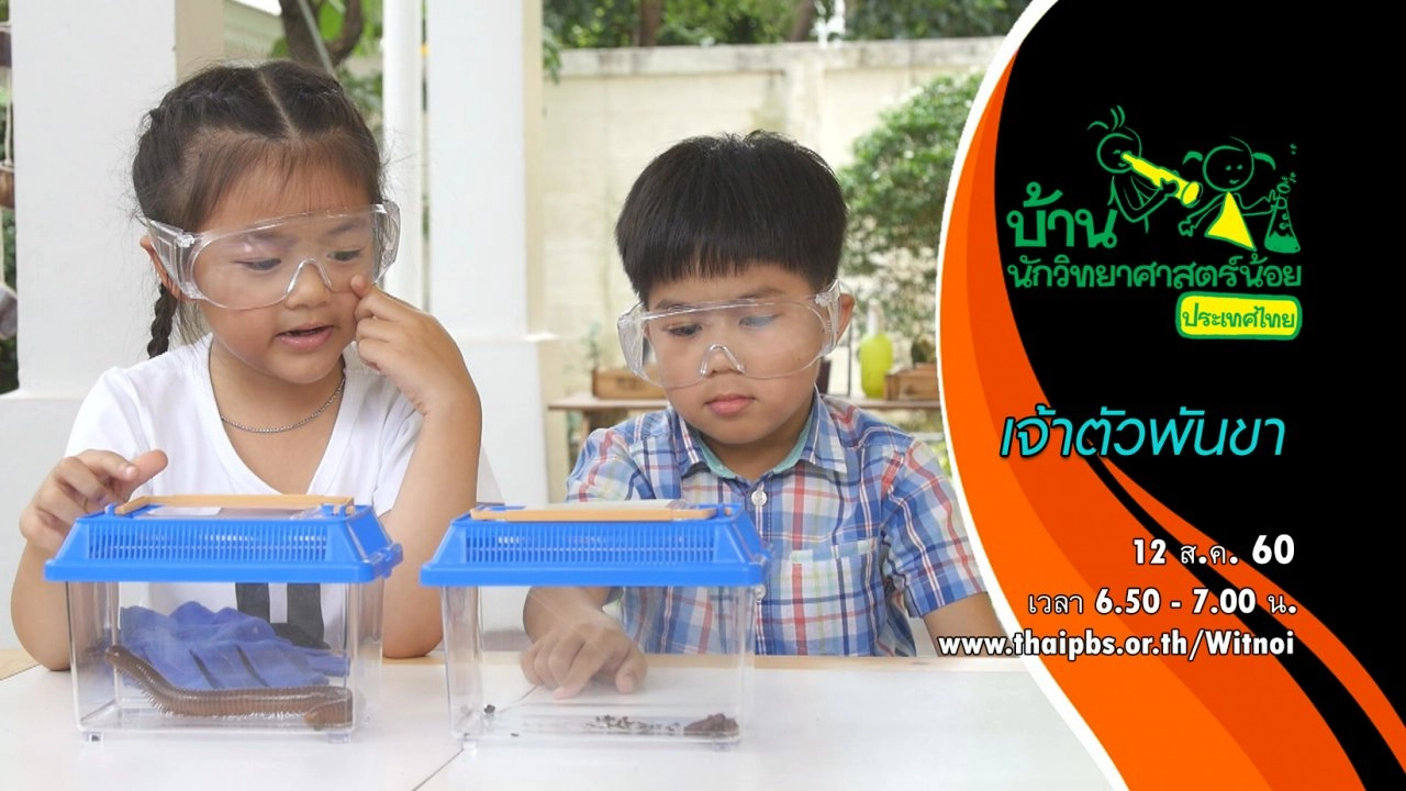 เจ้าตัวพันขา