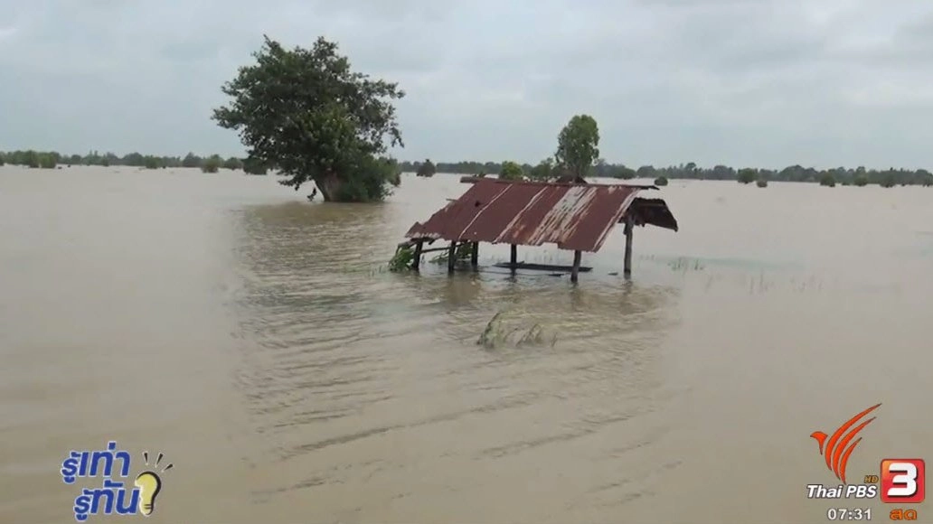 มาตราการเยียวยาภาคการเกษตร