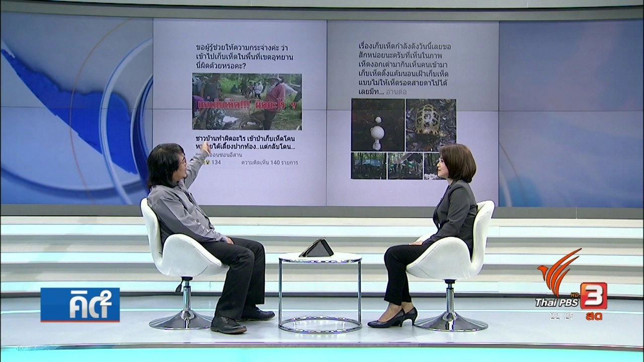 ห่วงขบวนการเก็บเห็ดในอุทยานแห่งชาติ