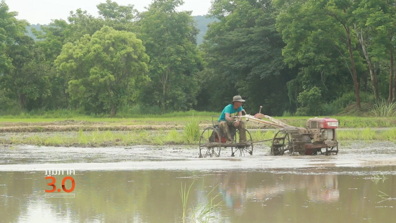 แบ่งปันเมล็ดแห่งความรัก, อ้อมกอดลำพะเนียง, หลงป่า เมืองลับแล