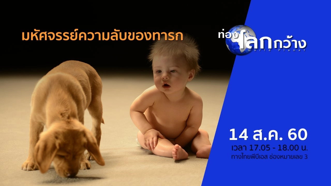 มหัศจรรย์ความลับของทารก