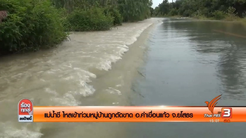 แม่น้ำชี ไหลเข้าท่วมหมู่บ้านถูกตัดขาด อ.คำเขื่อนแก้ว จ.ยโสธร