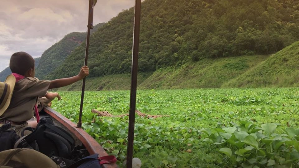 เด็กโรงเรียนกลางน้ำ เดินทางลำบาก ผักตบชวาหนาแน่น อ.ลี้ จ.ลำพูน