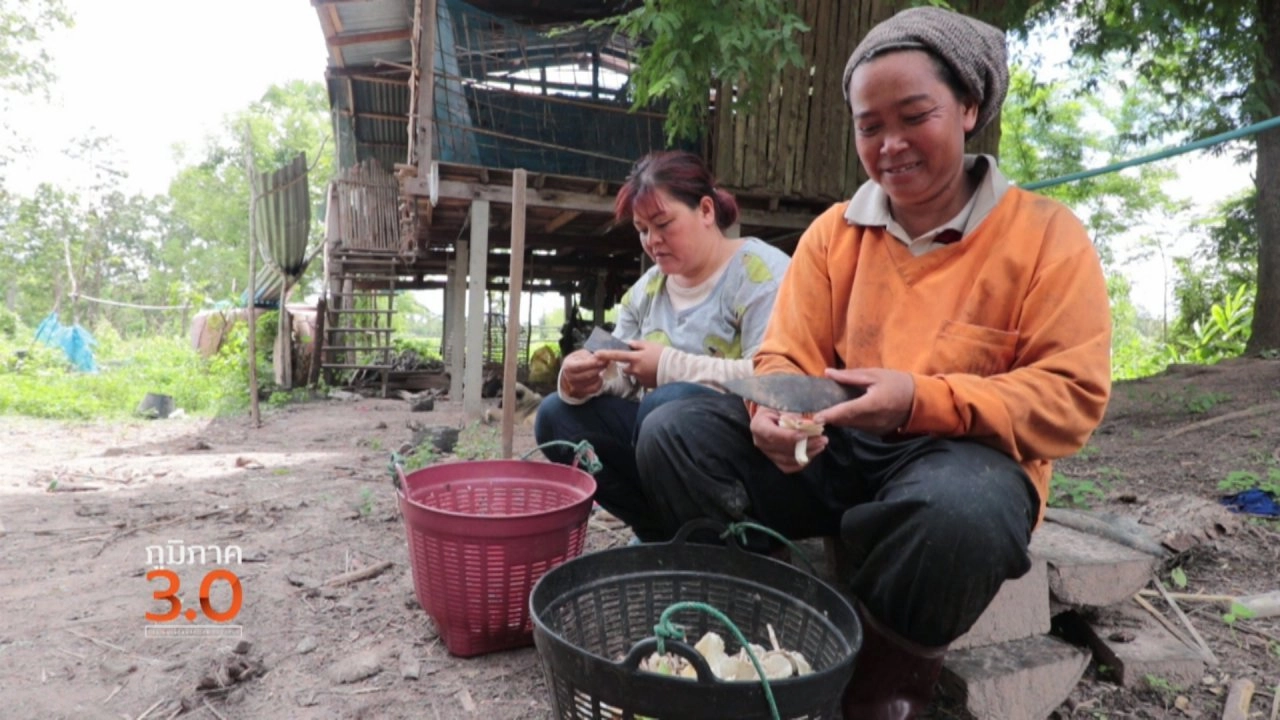 ไชยา ป่าพิเศษ, เกษตรรุ่นใหม่...ไม่สำเร็จรูป, ทะเลหน้าบ้าน ชายหาดเก้าเส้ง