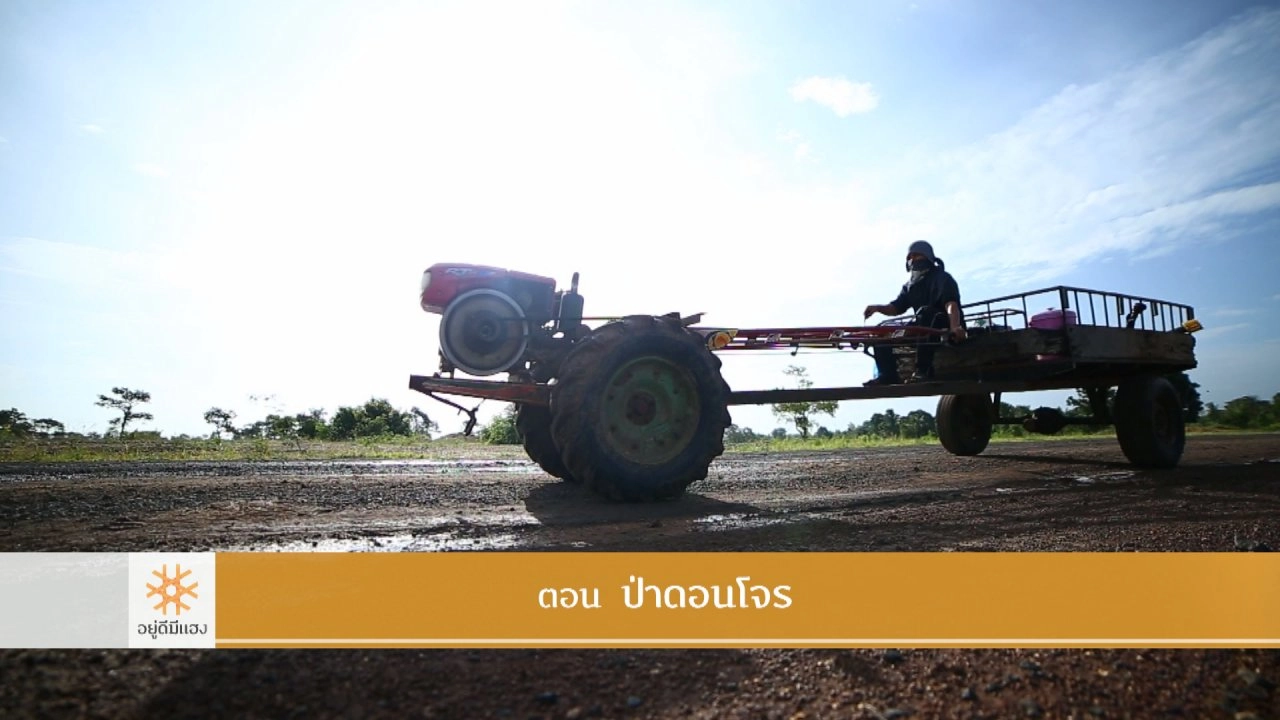 ป่าดอนโจร