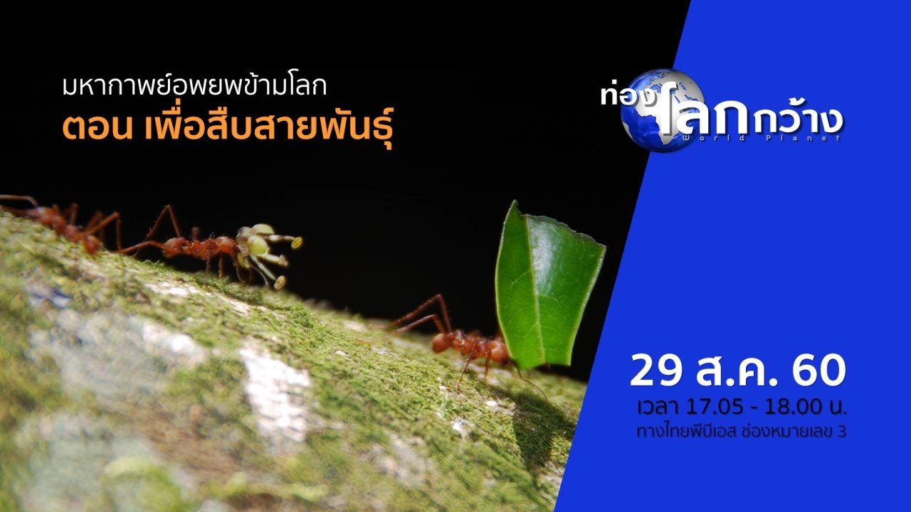 มหากาพย์อพยพข้ามโลก ตอน เพื่อสืบสายพันธุ์