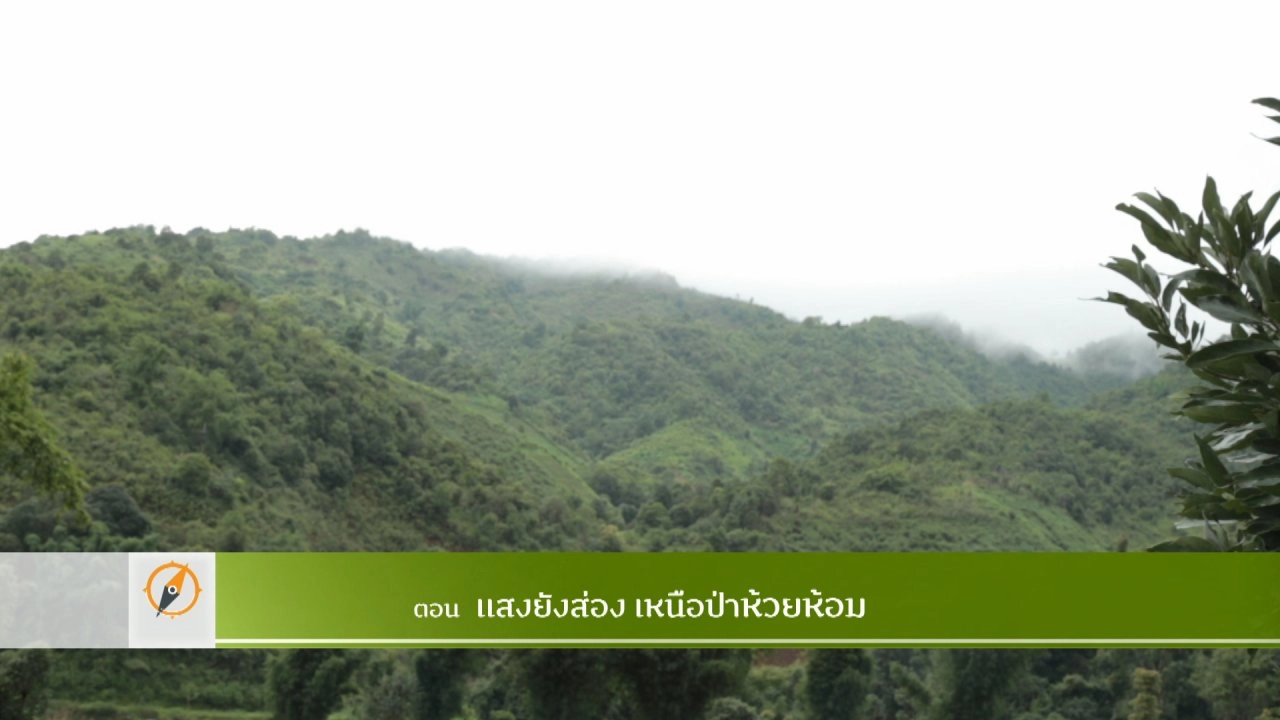 แสงยังส่องเหนือป่าห้วยห้อม​​