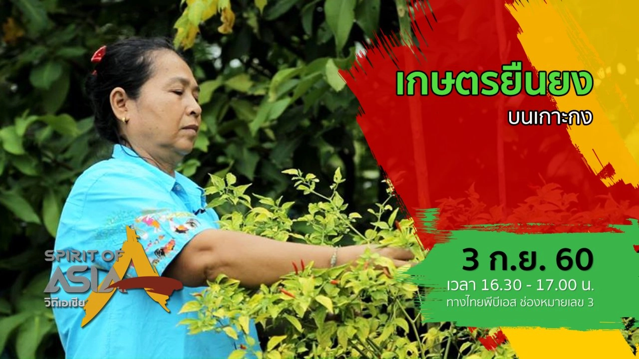 เกษตรยืนยงบนเกาะกง