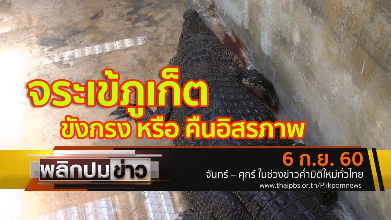 จระเข้ภูเก็ต ขังกรง หรือ คืนอิสรภาพ