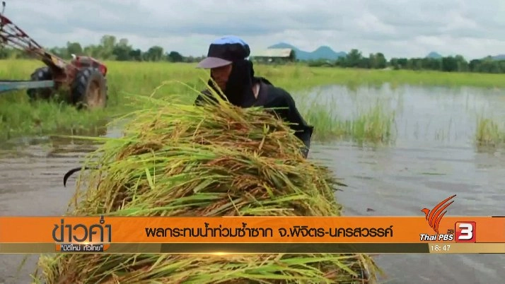 ประเด็นข่าว (7 ก.ย. 60)