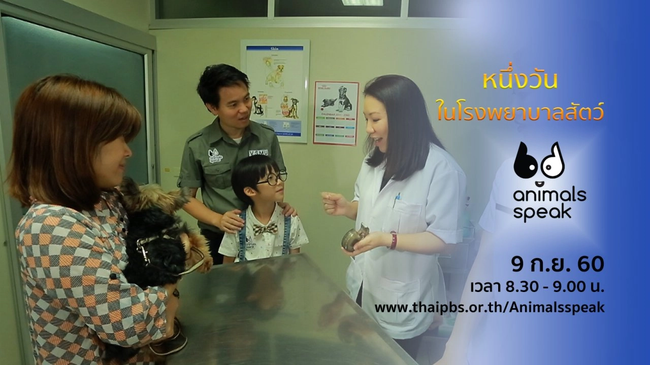 หนึ่งวันในโรงพยาบาลสัตว์ กับ Animals Speak