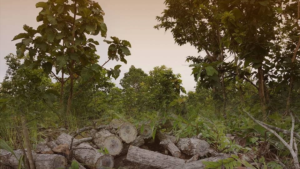 ร้องขอตรวจสอบโฉนดที่ดินอดีต ส.ส. 1,700 ไร่ อ.เชียงกลาง จ.น่าน ครอบครองเกินจริงหรือไม่?