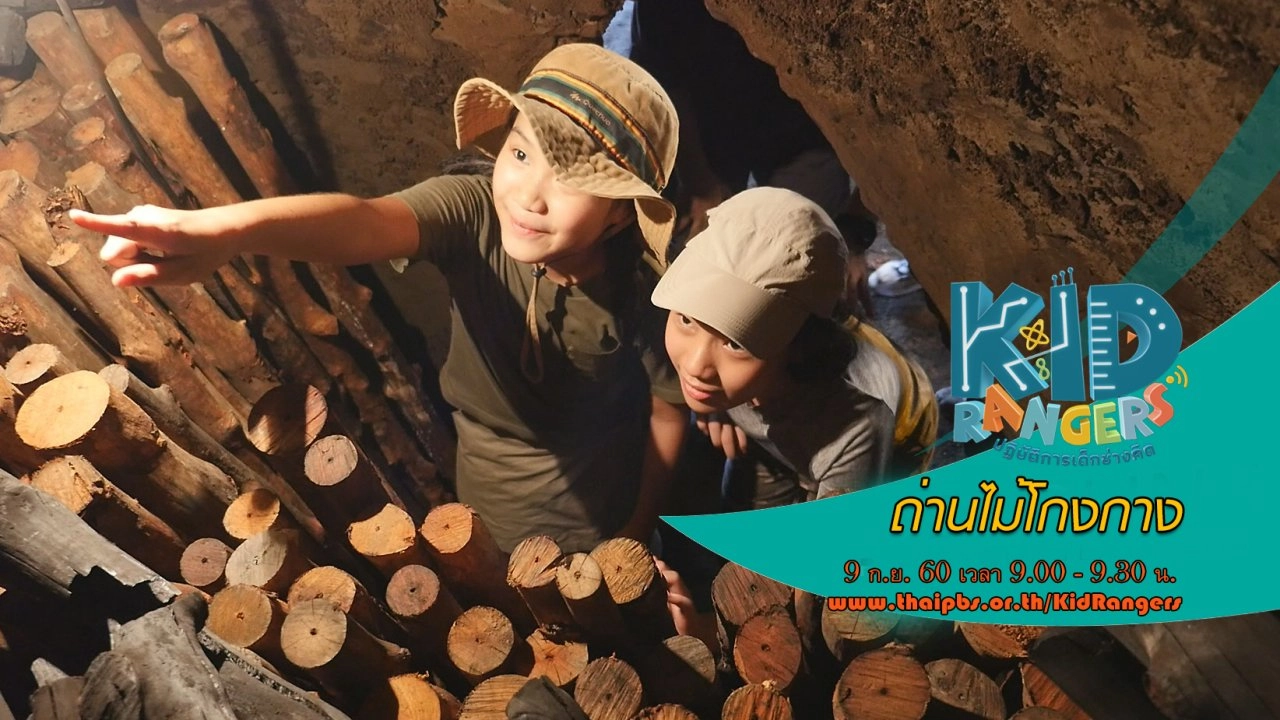 ถ่านไม้โกงกาง