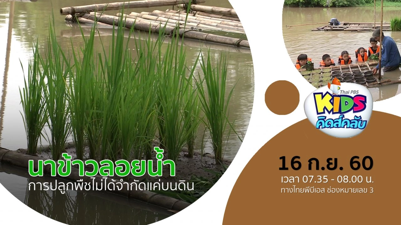 นาข้าวลอยน้ำ