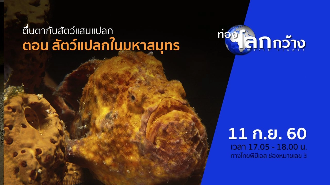 ตื่นตากับสัตว์แสนแปลก ตอน สัตว์แปลกในมหาสมุทร