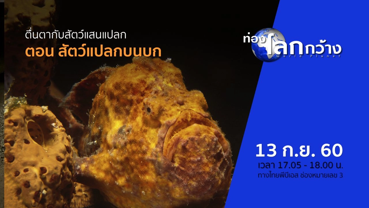 ตื่นตากับสัตว์แสนแปลก ตอน สัตว์แปลกบนบก