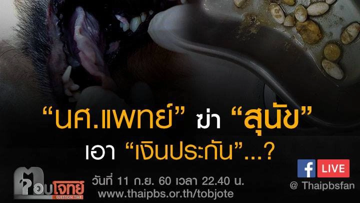 "นศ.แพทย์" ฆ่า "สุนัข" เอา "เงินประกัน"...?