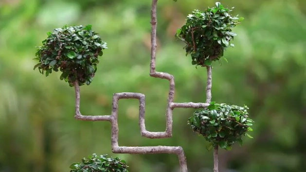 เขามอ และไม้ดัด ศิลปะประดับพระเมรุมาศ