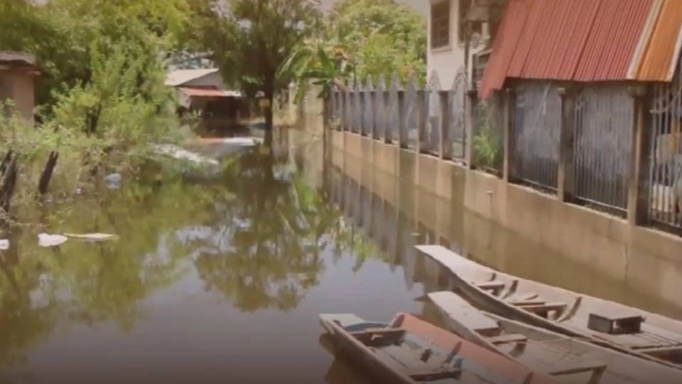 ผลกระทบพายุทกซูรี