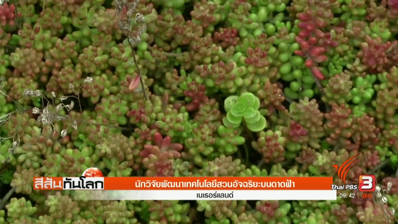 ประเด็นข่าว (16 ก.ย. 60)