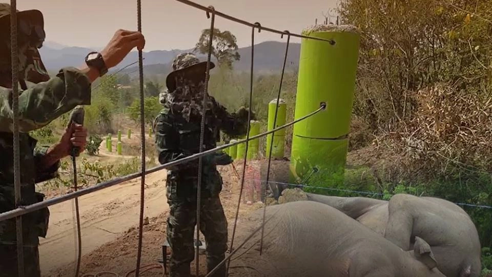 เร่งสร้างรั้วป้องกันช้างป่า อ.หัวหิน จ.ประจวบคีรีขันธ์