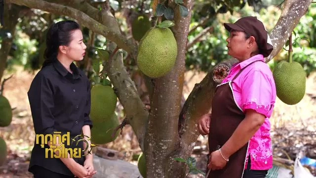 ประเด็นข่าว (20 ก.ย. 60)