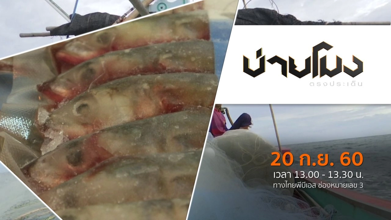 ประเด็นข่าว ( 20 ก.ย. 60)